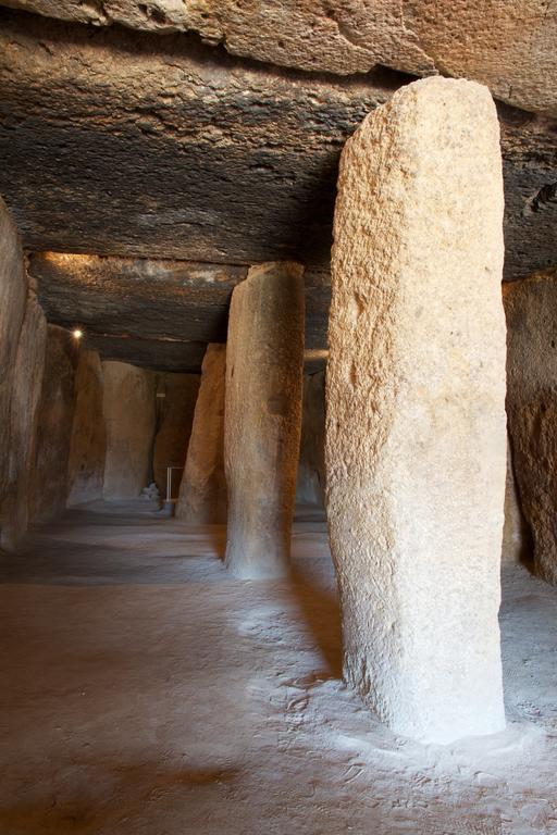 Hotel Dolmenes Antequera